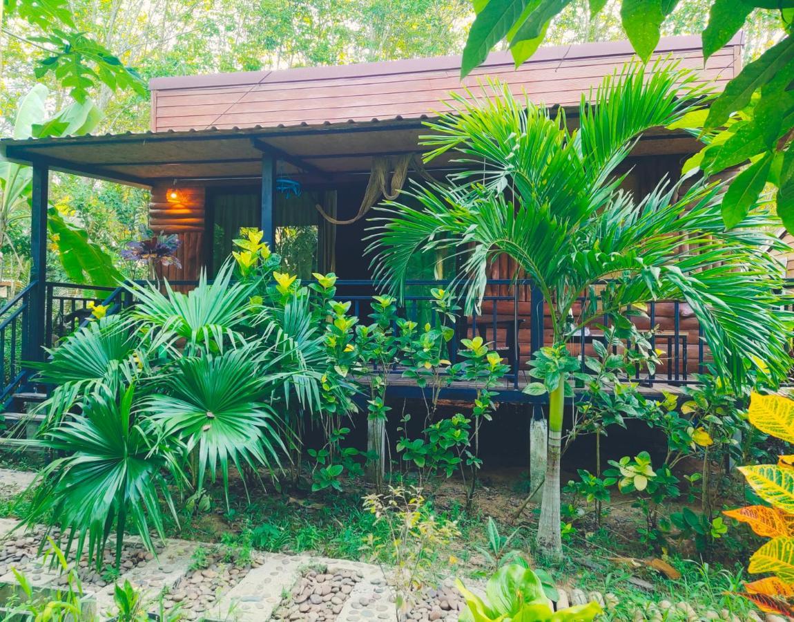 Station touristique Kohmook Nurse House