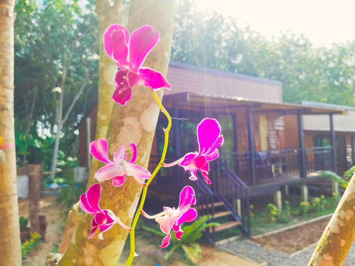 Kohmook Nurse House 2* Ko Muk